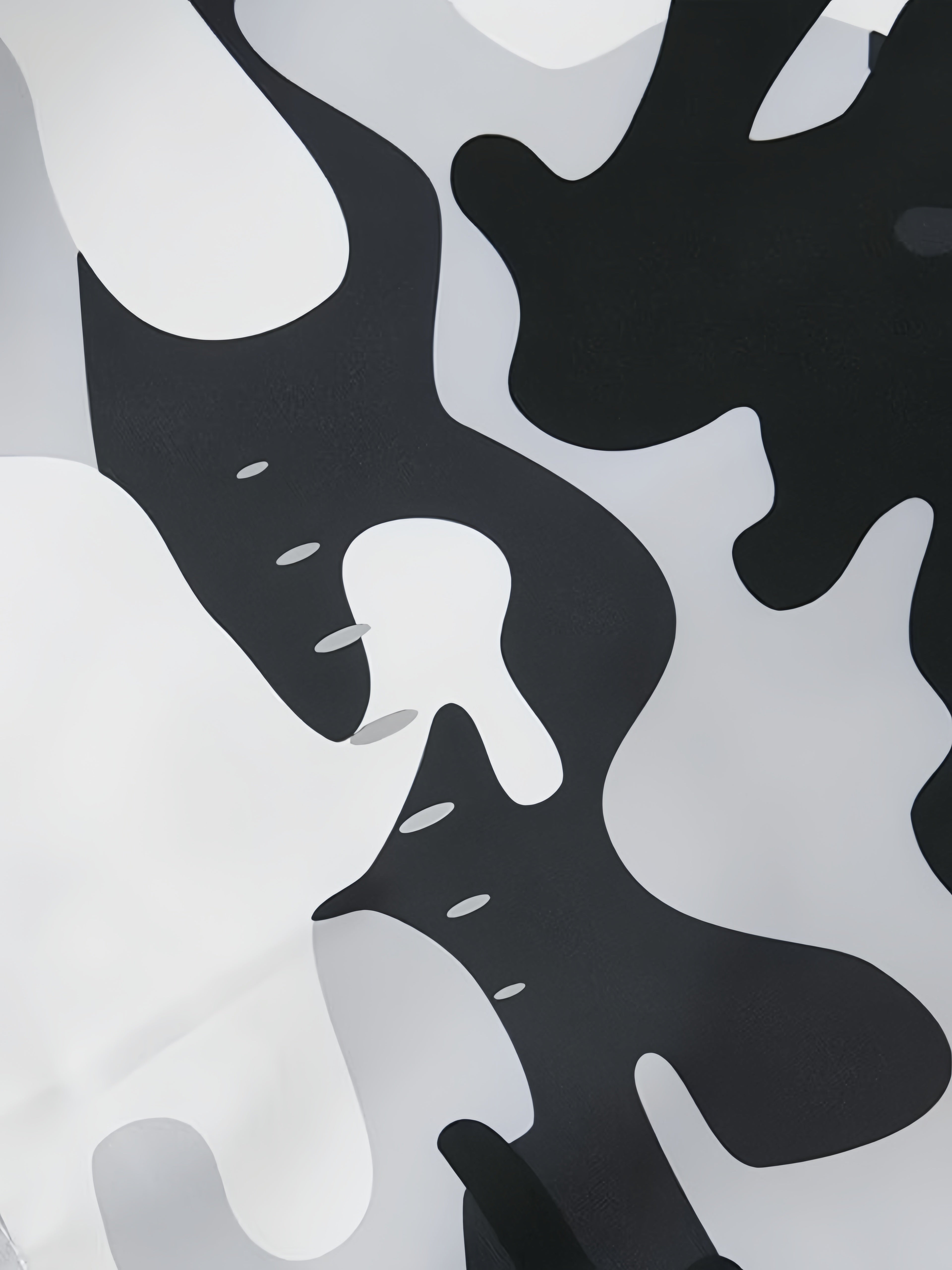 Men's Camo Windbreaker Jacket | Waterproof, Warm & Stylish Camo Colors