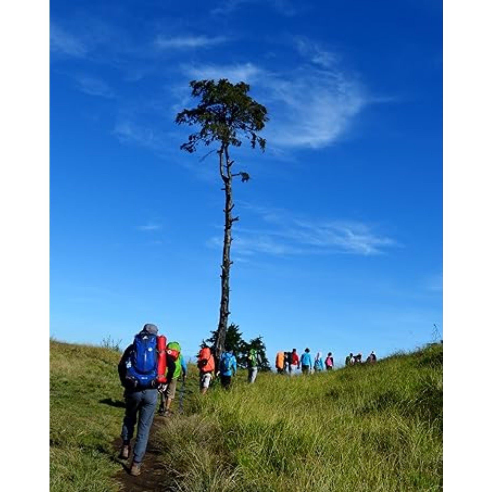 Men's Designer Ski Jacket | Warm Fleece with Detachable Hood Camo Colors